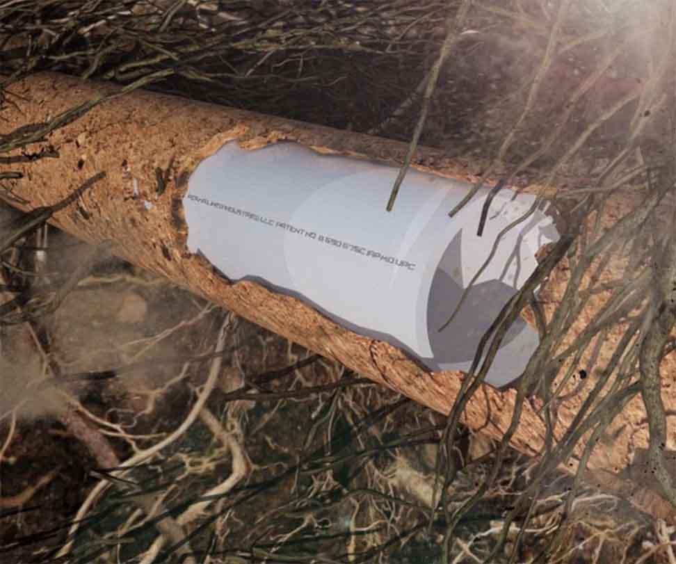 Trenchless sewer repair in Catalina Foothills, AZ